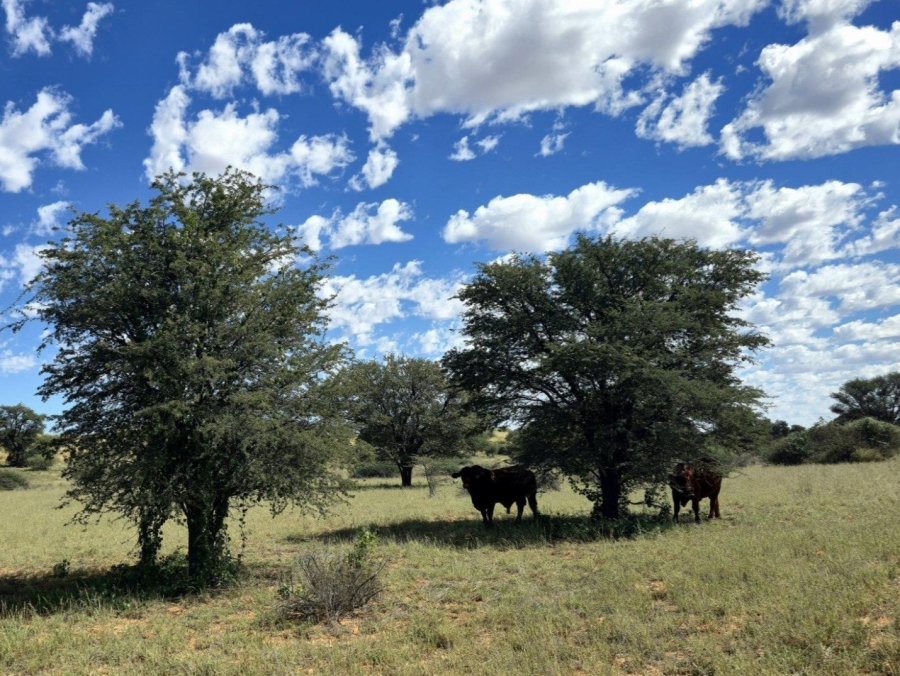 Commercial Property for Sale in Upington Rural Northern Cape
